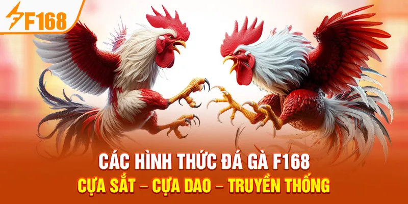 Các Hình Thức Đá Gà F168: Cựa Sắt – Cựa Dao – Truyền Thống